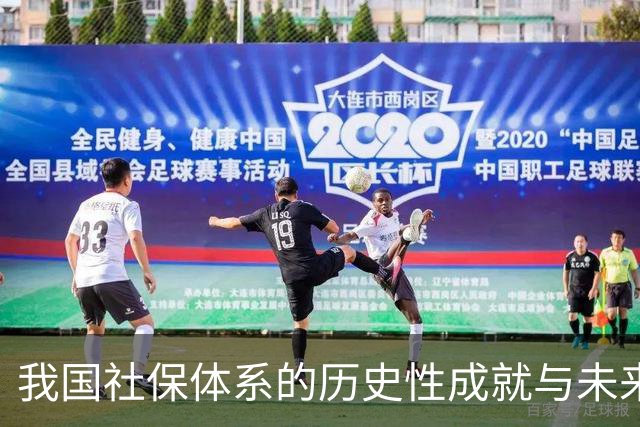 我国社保体系的历史性成就与未来挑战